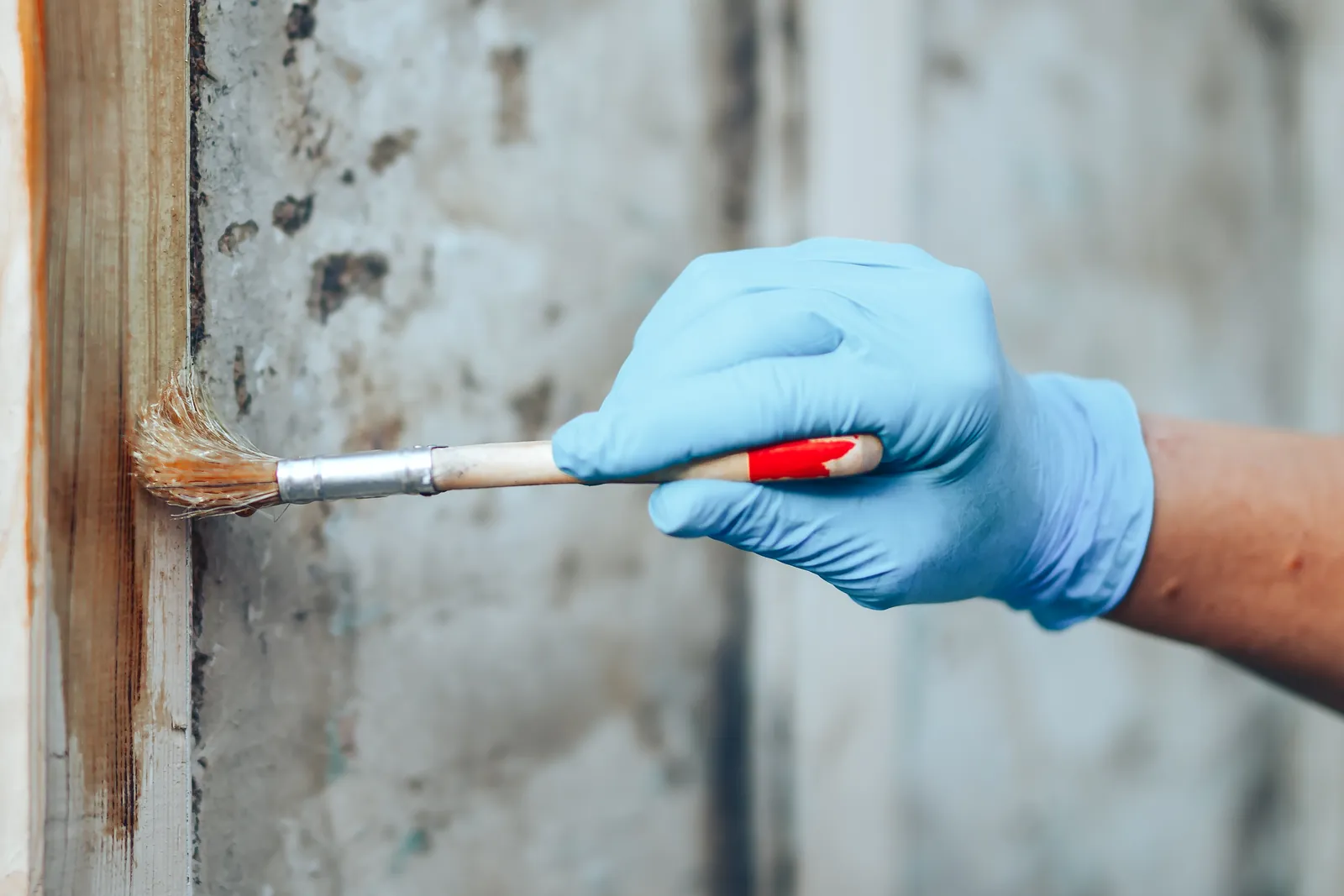 Gloved hand brushing varnish onto a wooden door